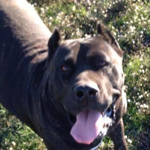 Meet your Posher, Dwayne